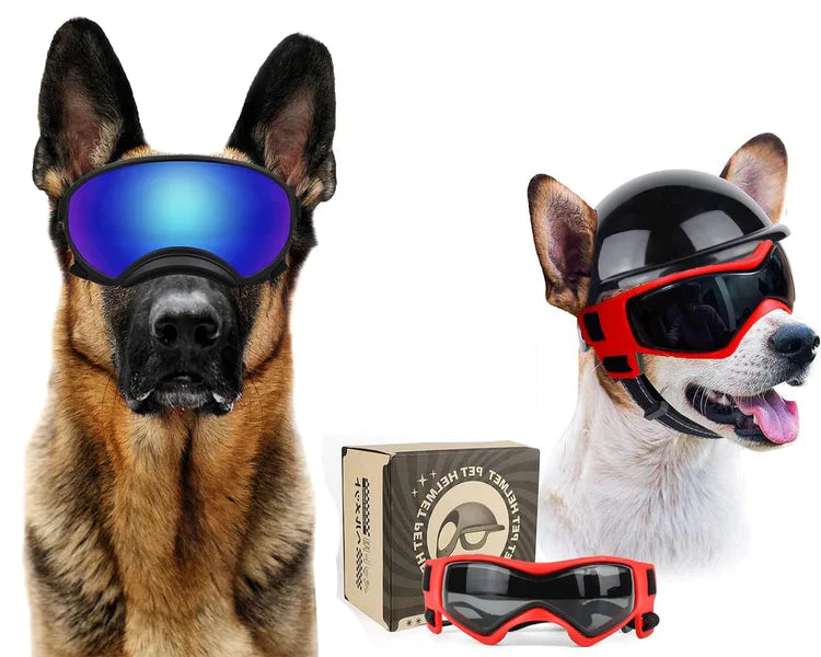 Dog Sunglasses