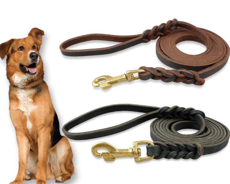 Leather Leash