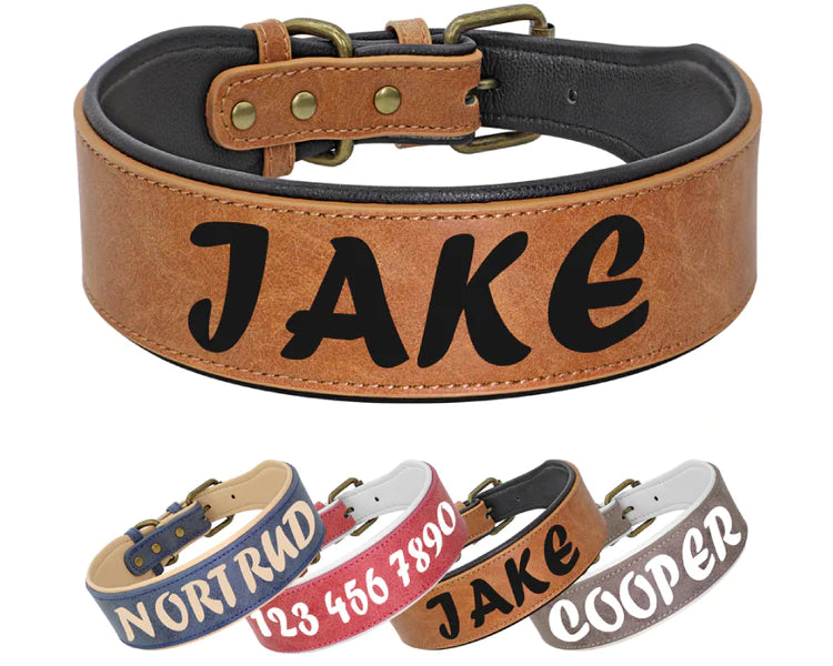 Personalized Leather Dog Collars