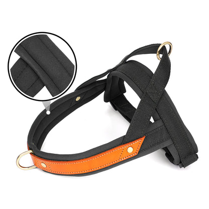 No Pull Nylon Leather Harness - My Puppy Fresh