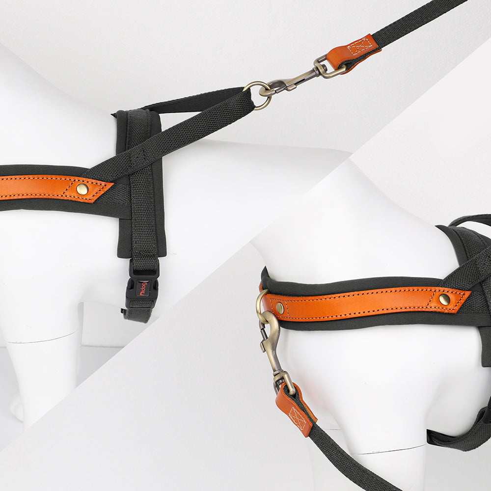 No Pull Nylon Leather Harness - My Puppy Fresh