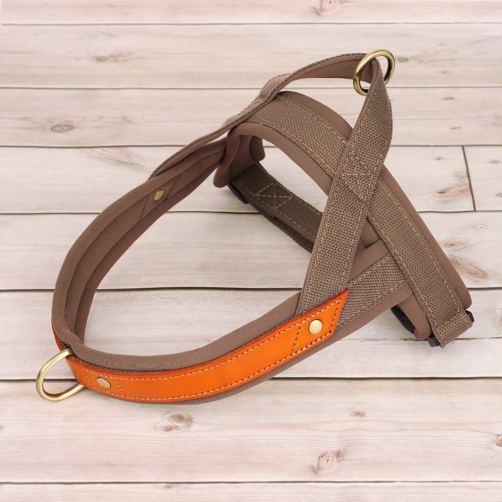 No Pull Nylon Leather Harness - My Puppy Fresh