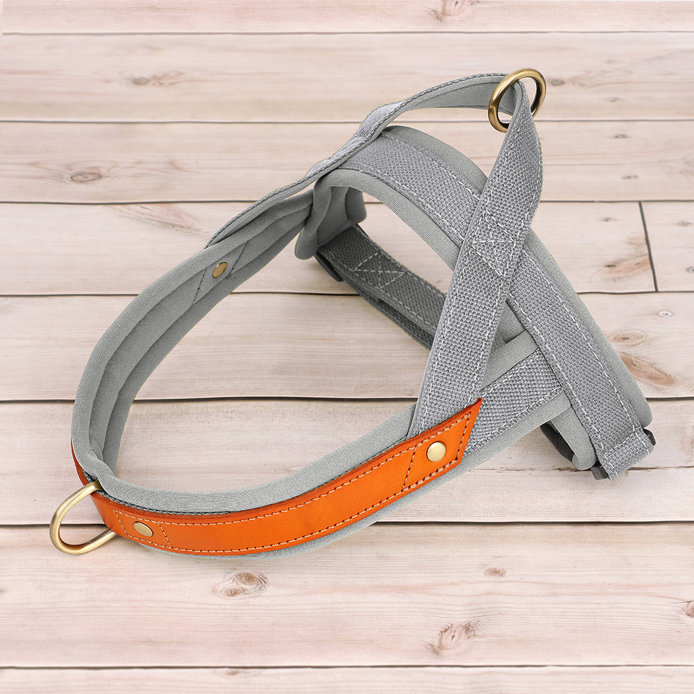 No Pull Nylon Leather Harness - My Puppy Fresh