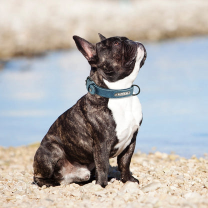 Personalized Leather Dog Collar and Leash - My Puppy Fresh