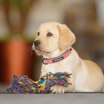 Personalized Leather Dog Collar and Leash - My Puppy Fresh