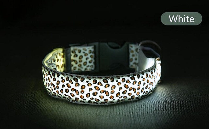 Light-up LED Pet Collar - My Puppy Fresh