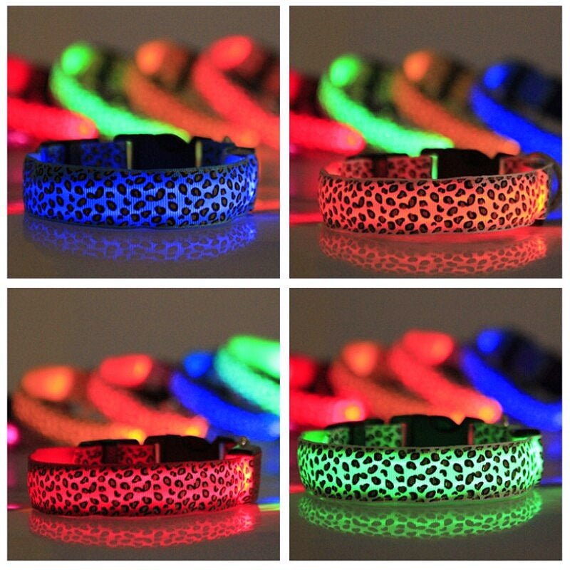 Light-up LED Pet Collar - My Puppy Fresh