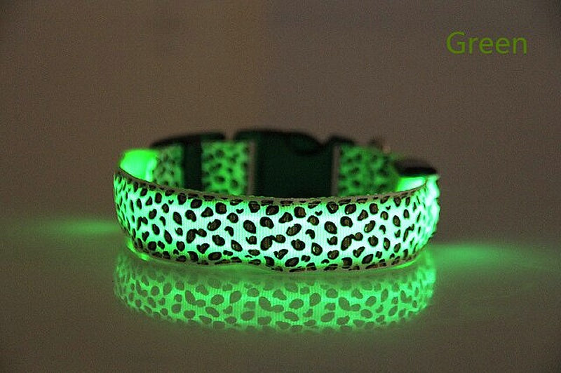 Light-up LED Pet Collar - My Puppy Fresh