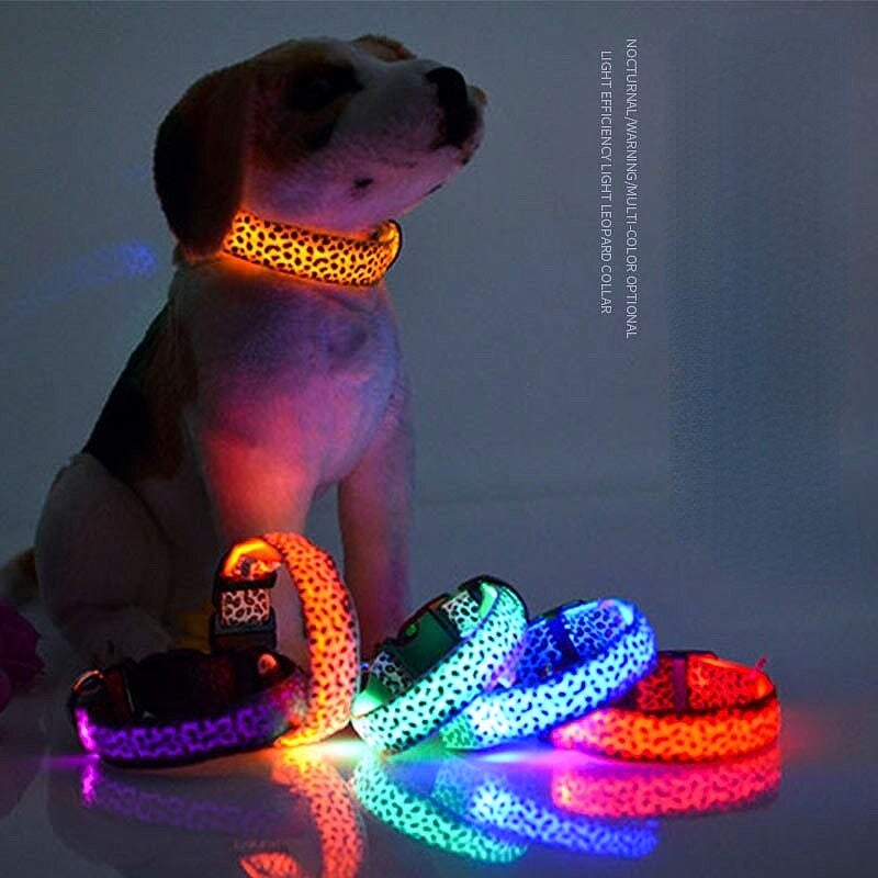 Light-up LED Pet Collar - My Puppy Fresh