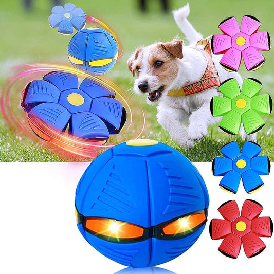 Innovative Magic Flying Saucer Dog Ball - My Puppy Fresh