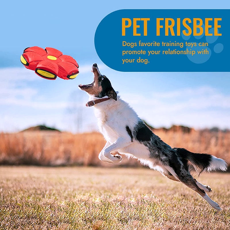 Innovative Magic Flying Saucer Dog Ball - My Puppy Fresh