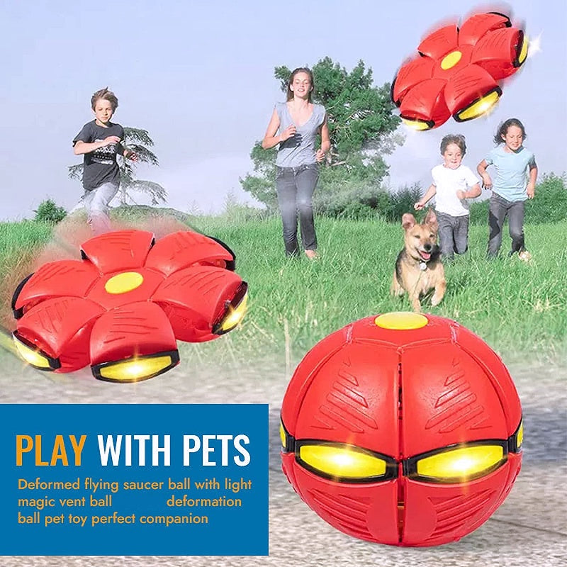 Innovative Magic Flying Saucer Dog Ball - My Puppy Fresh