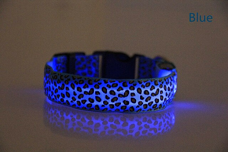 Light-up LED Pet Collar - My Puppy Fresh