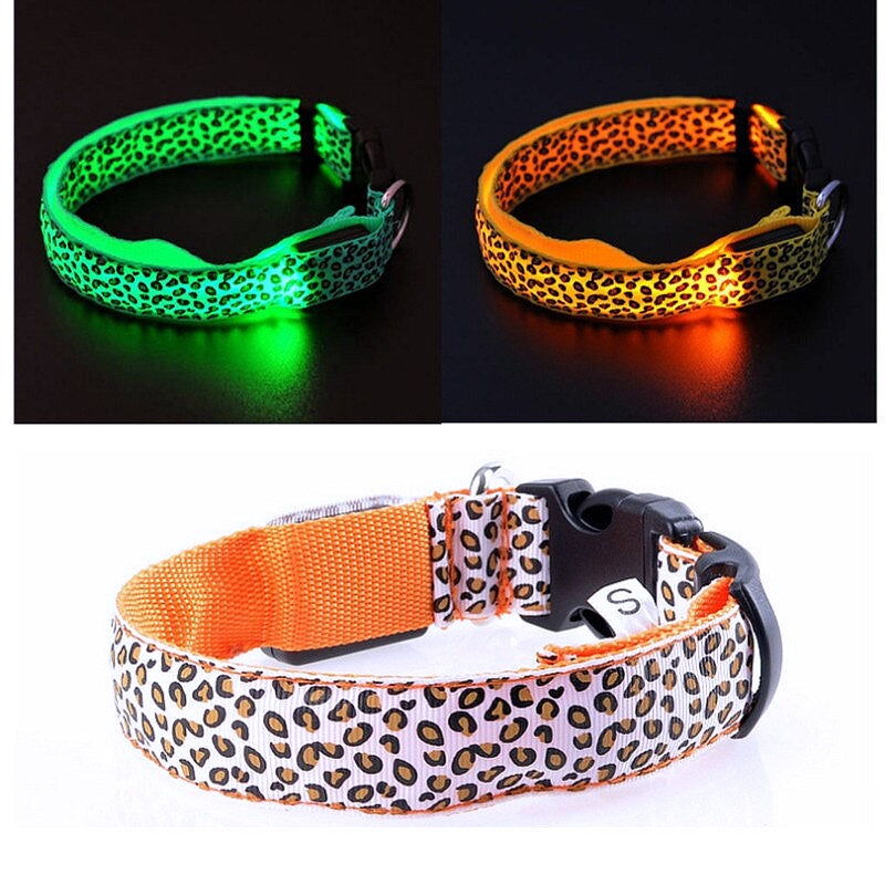 Light-up LED Pet Collar - My Puppy Fresh