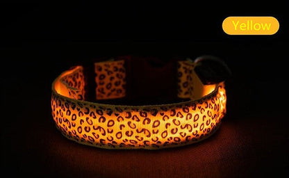 Light-up LED Pet Collar - My Puppy Fresh