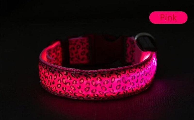 Light-up LED Pet Collar - My Puppy Fresh