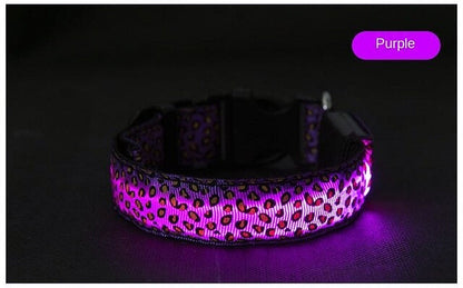 Light-up LED Pet Collar - My Puppy Fresh