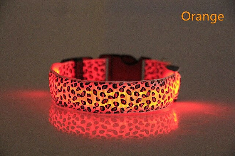 Light-up LED Pet Collar - My Puppy Fresh