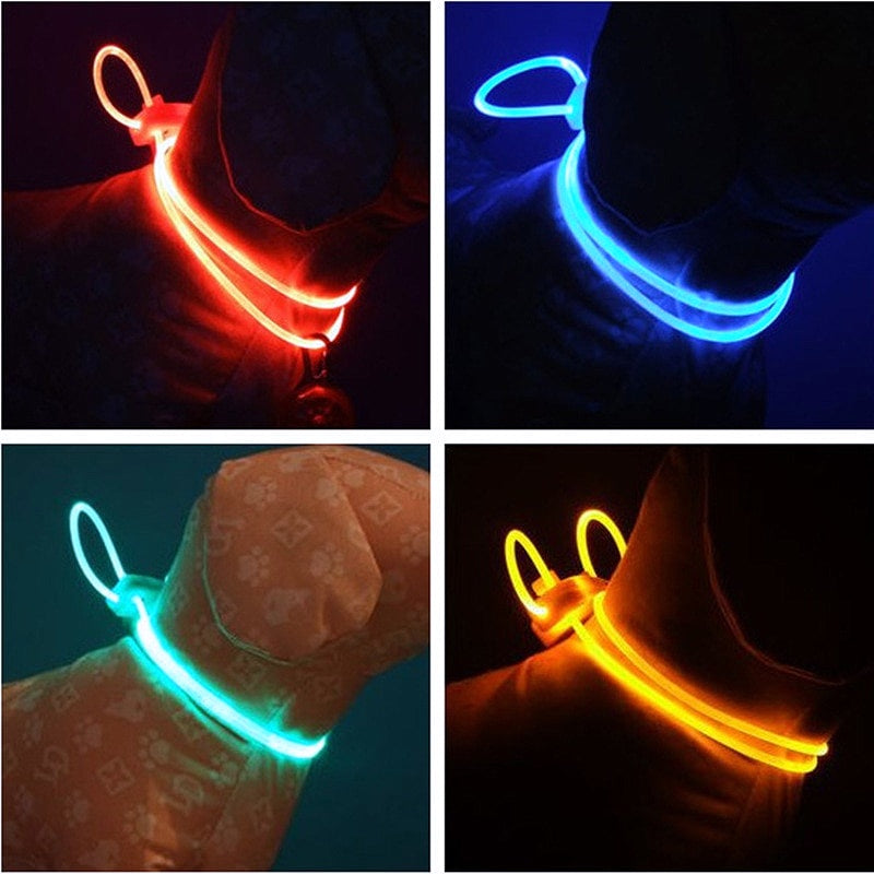 Adjustable LED Glowing Dog Collar - My Puppy Fresh