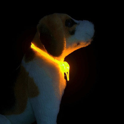 Adjustable LED Glowing Dog Collar - My Puppy Fresh