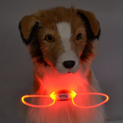 Adjustable LED Glowing Dog Collar - My Puppy Fresh