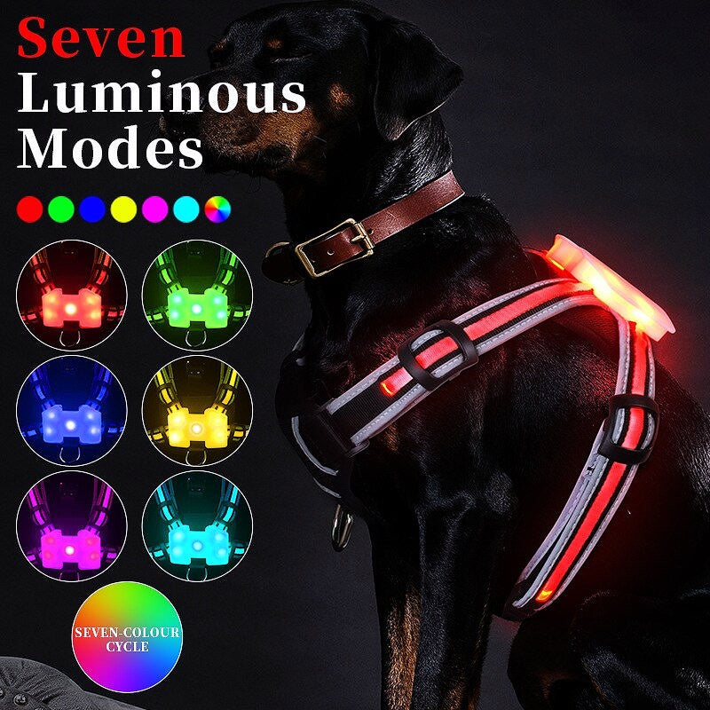 LED Light-Up Dog Harness - My Puppy Fresh