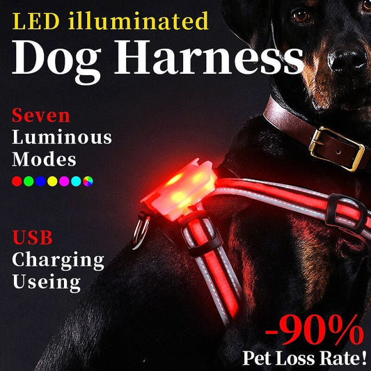 LED Light-Up Dog Harness - My Puppy Fresh