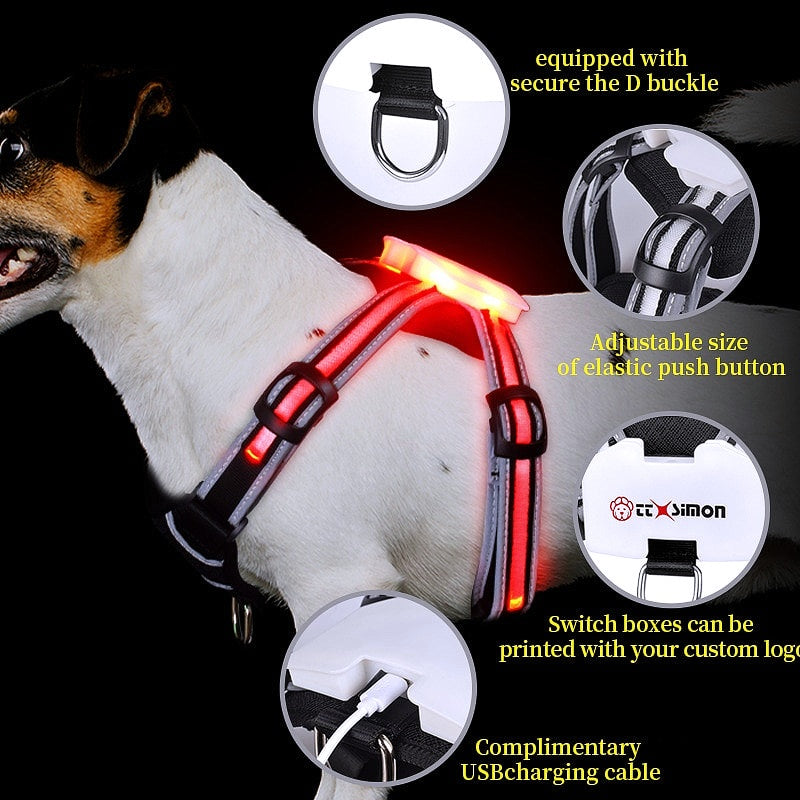 LED Light-Up Dog Harness - My Puppy Fresh