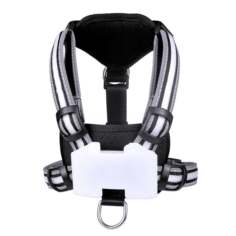 LED Light-Up Dog Harness - My Puppy Fresh