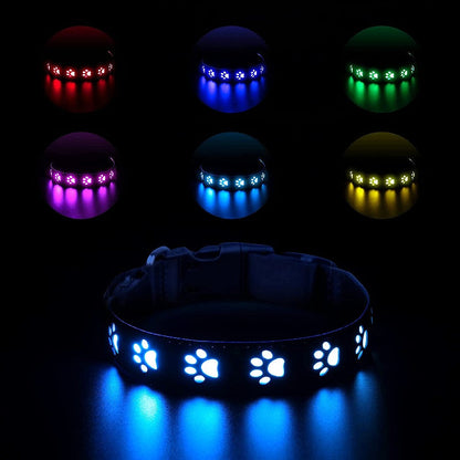 LED Dog Collar: Keep Your Furry Friend Safe and Stylish - My Puppy Fresh