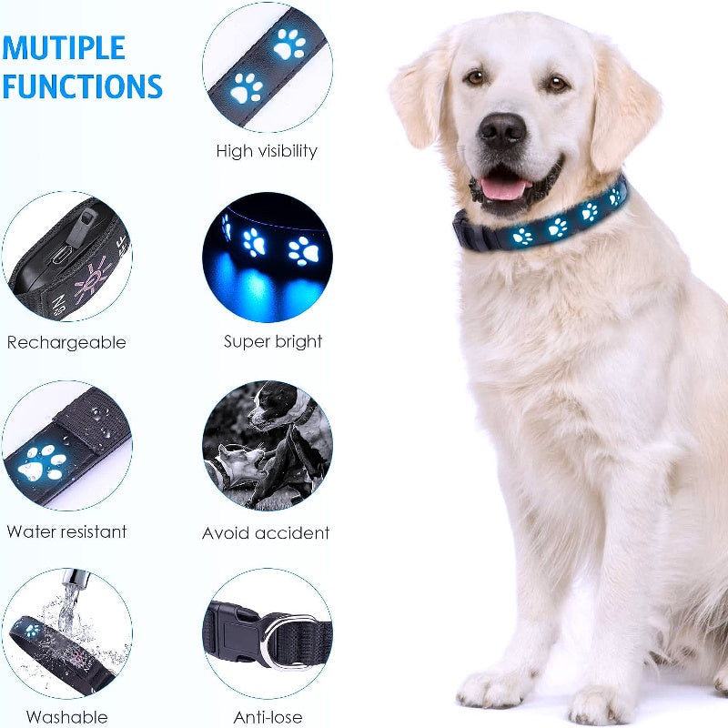 LED Dog Collar: Keep Your Furry Friend Safe and Stylish - My Puppy Fresh