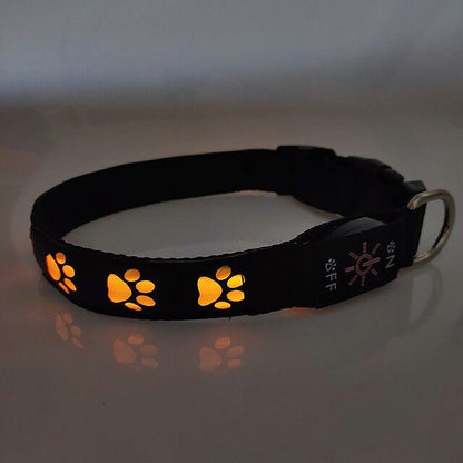 LED Dog Collar: Keep Your Furry Friend Safe and Stylish - My Puppy Fresh