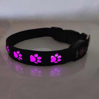 LED Dog Collar: Keep Your Furry Friend Safe and Stylish - My Puppy Fresh