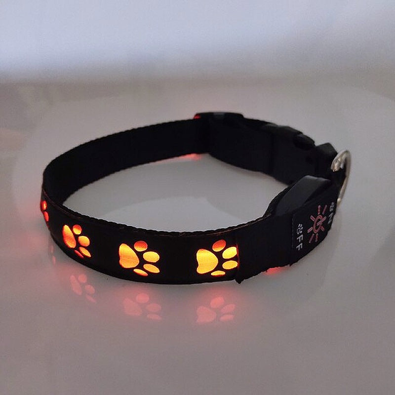 LED Dog Collar: Keep Your Furry Friend Safe and Stylish - My Puppy Fresh