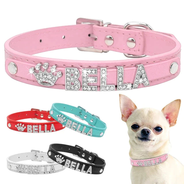 Personalized Charm Collar - My Puppy Fresh