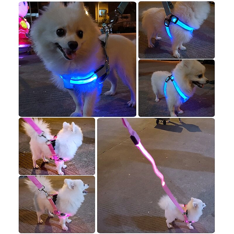 Adjustable LED Dog Harness - My Puppy Fresh