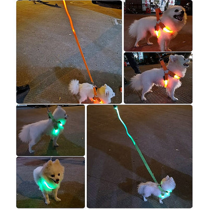 Adjustable LED Dog Harness - My Puppy Fresh