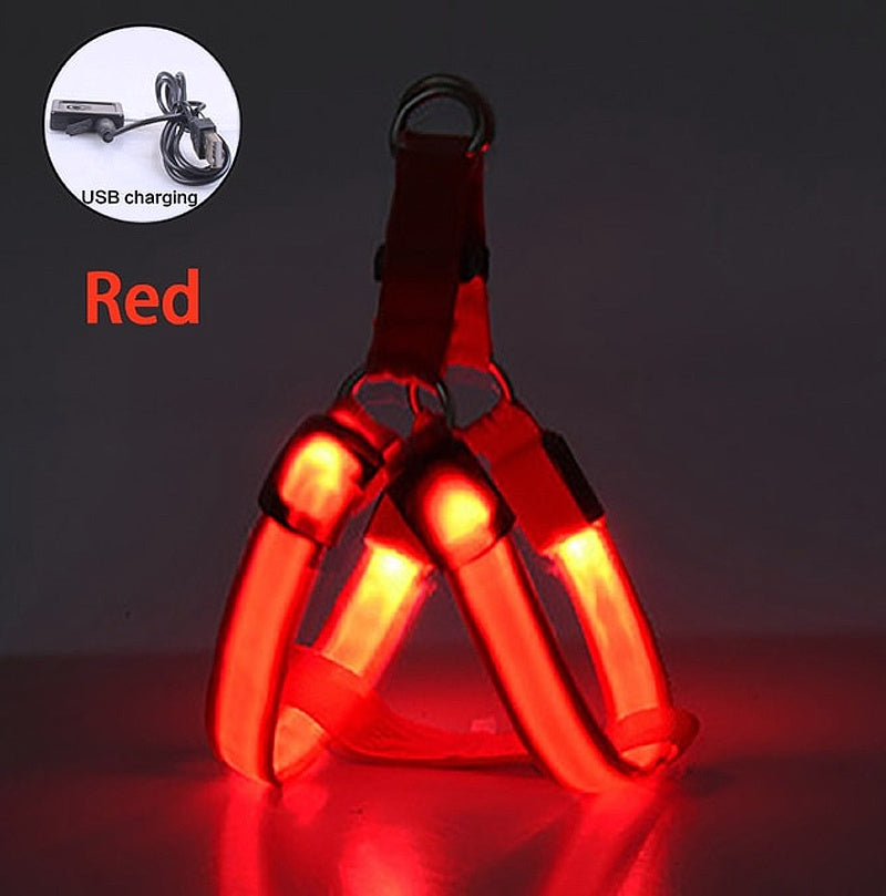 Adjustable LED Dog Harness - My Puppy Fresh