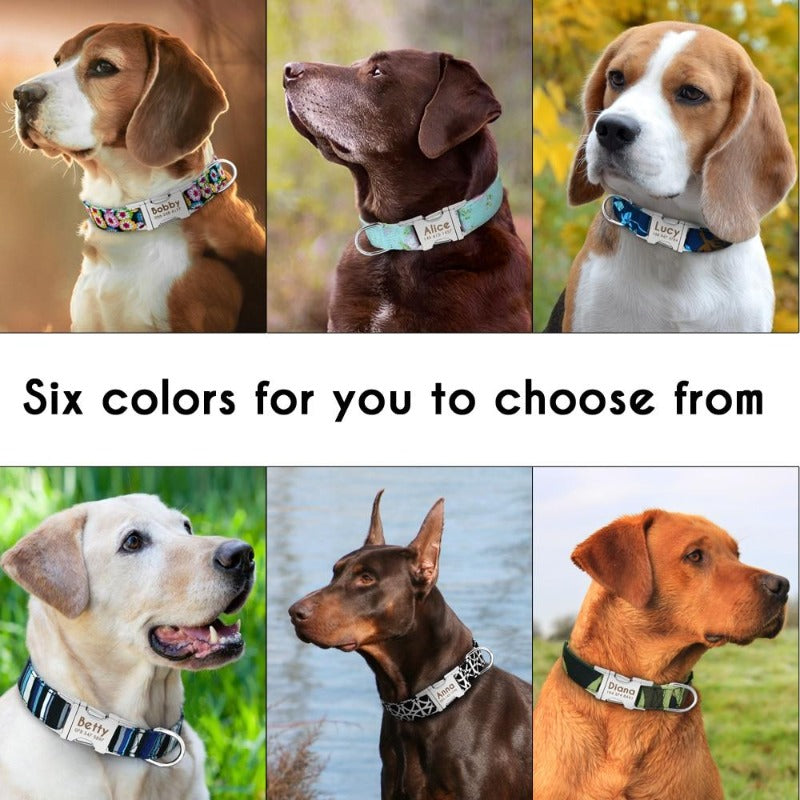 Personalized Nylon Dog Collar - My Puppy Fresh