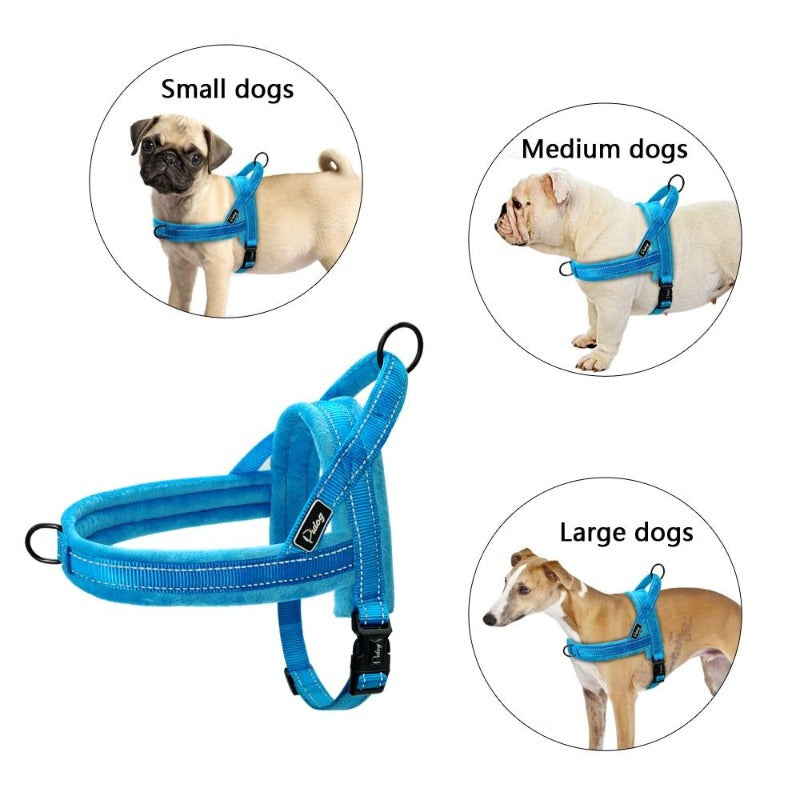 No Pull Reflective Velvet Dog Harness - My Puppy Fresh