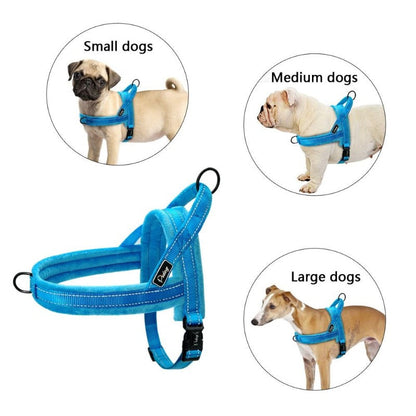 No Pull Reflective Velvet Dog Harness - My Puppy Fresh