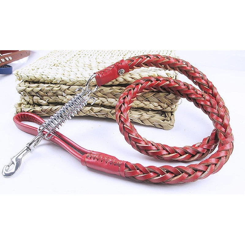 Heavy Duty Leather Braided Traction Dog Leash - My Puppy Fresh