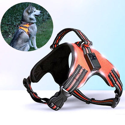 Rechargeable LED Harness for Pets - My Puppy Fresh