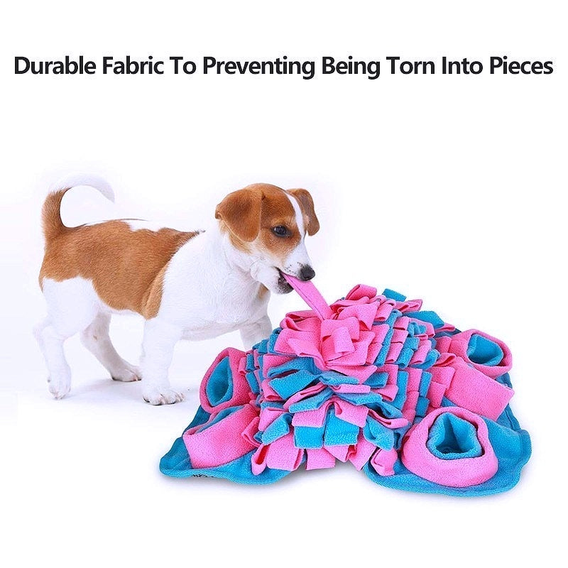 IQ Enhancing Puzzle Dog Toy Mat - My Puppy Fresh