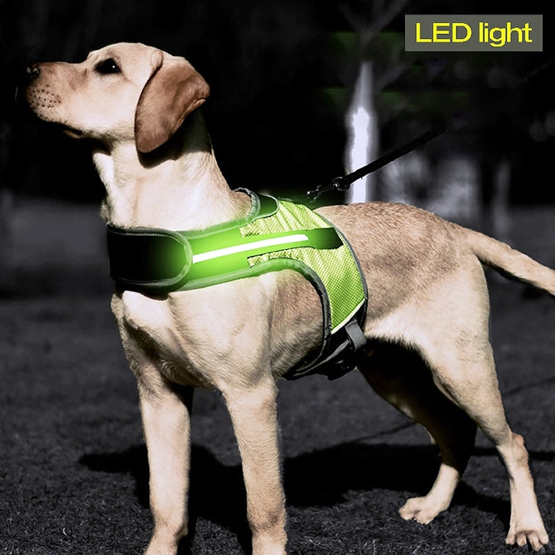 LED Luminous Dog Harness - My Puppy Fresh