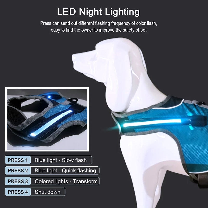 LED Luminous Dog Harness - My Puppy Fresh