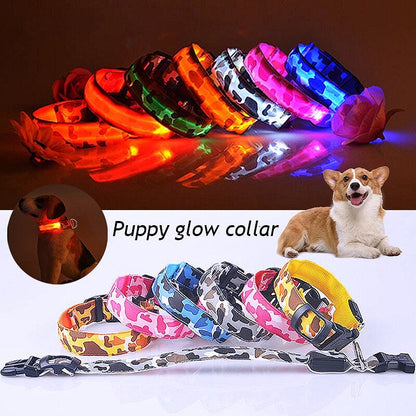 LED Rechargeable Dog Safety Collar - My Puppy Fresh