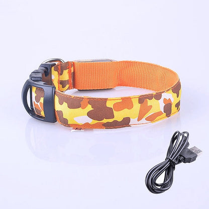 LED Rechargeable Dog Safety Collar - My Puppy Fresh