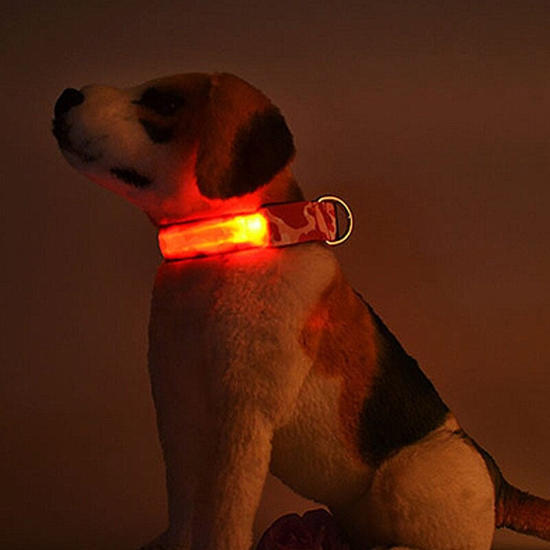 LED Rechargeable Dog Safety Collar - My Puppy Fresh