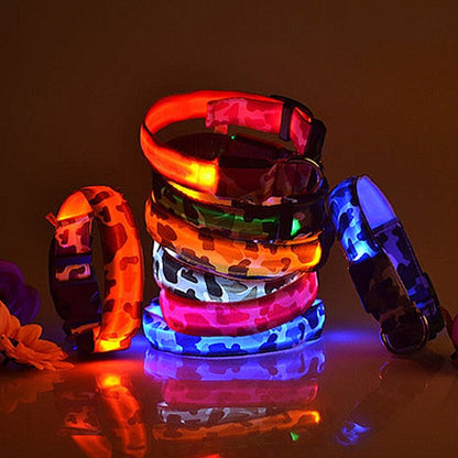 LED Rechargeable Dog Safety Collar - My Puppy Fresh